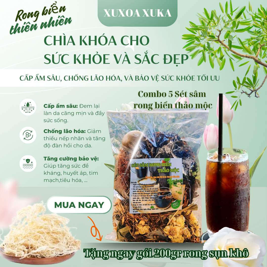 RONG XÀ LÁCH/ RONG XANH DIỆP LỤC - RONG BIỂN VIỆT