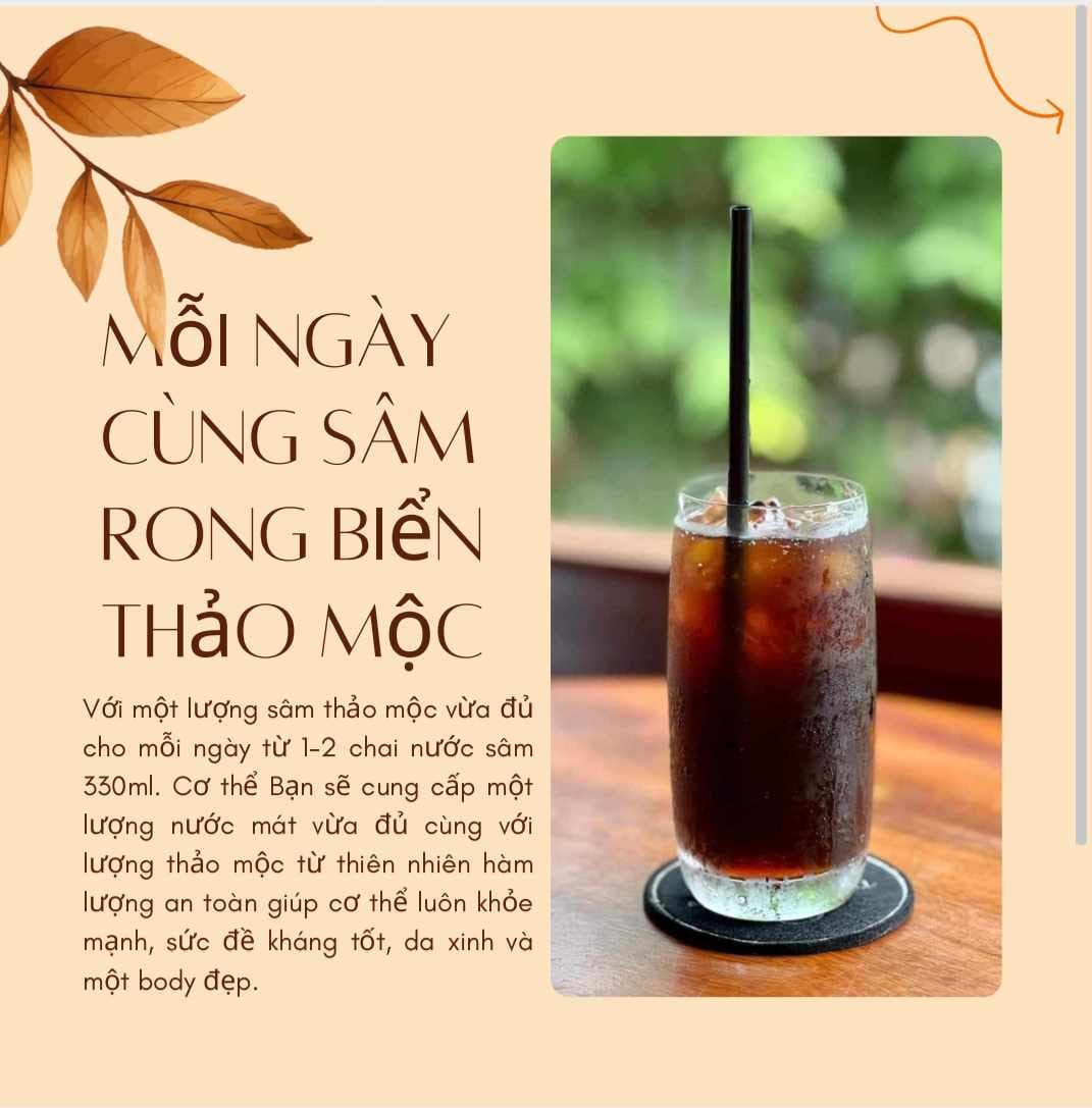 Tặng ngay rong sụn khi mua combo 5 sét sâm rong biển thảo mộc